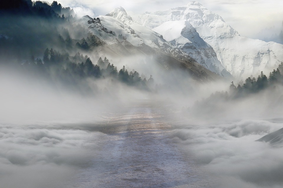 brouillard