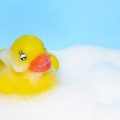 canard de bain