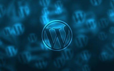 Agence web : que faut-il savoir ?