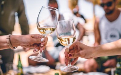 Toutes les facettes des vins de Provence